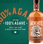 Image result for ac9cate