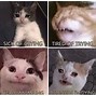 Image result for Cat Crying Dank Meme