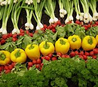 Image result for Organic Agriculture