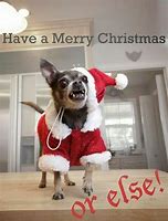 Image result for Christmas Animals Saying Funny