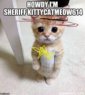 Image result for Corporate Cat Meme