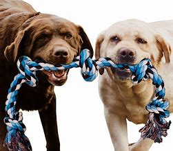 Image result for Dog Rope Toy Long