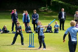 Image result for Cricket Activities for Kids