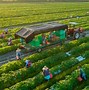 Image result for agroinfustrial