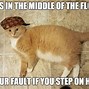 Image result for Fat Cat Do You Have a Question Meme