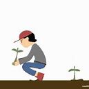 Image result for How to Plant Apple Trees
