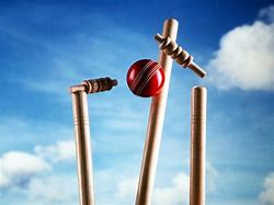 Image result for Cricket Form Background