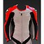 Image result for Motorcycle Racing Leathers