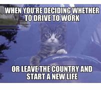 Image result for Work Cat Meme Stressed