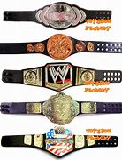 Image result for WWE Toy Wrestling Belt