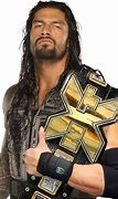 Image result for Roman Reigns NXT