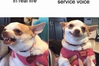 Image result for Funny Animal Customer Service Memes