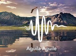 Image result for aguilw�o