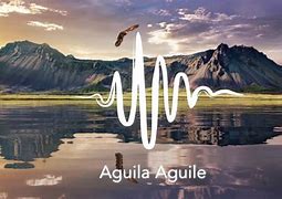 Image result for aguils�o