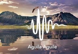 Image result for aguile�p