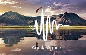 Image result for aguilr�a