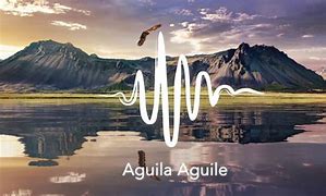 Image result for aguile�l