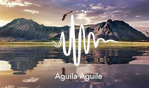 Image result for aguile�w