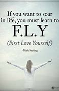 Image result for Saying for Fly