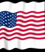 Image result for USA Flag Kids