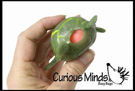Image result for Pooping Turtle Toy
