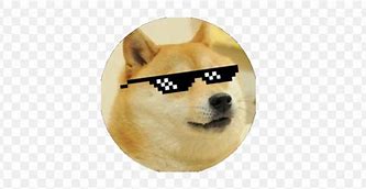 Image result for Roblox MLG Doge