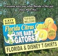 Image result for Everglades Florida Memes