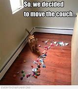 Image result for Cat and Furniture Meme