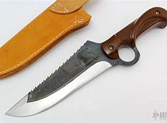 Image result for Sabertooth Knife