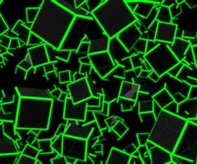 Image result for Neon Green Abstract 4K