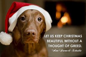 Image result for Christmas Images and Quotes About Courage