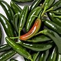 Image result for All Types of Hot Peppers