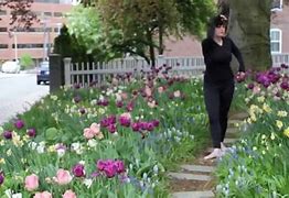 Image result for Tulipa Dancing Show