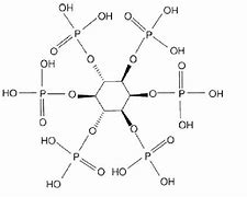 Image result for Calcium Magnesium Inositol Hexaphosphate