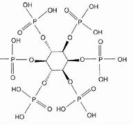 Image result for Inositol Hexaphosphate Structure