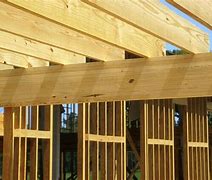 Image result for American Southern Yellow Pine