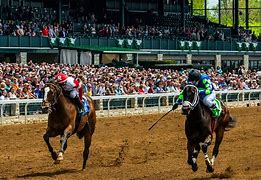 Image result for Horse Racing Dirt Track