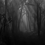 Image result for Dark Scary Nature