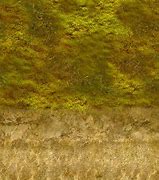 Image result for Grass Rock Texture Seamless