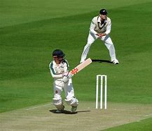 Image result for People Playing Cricket