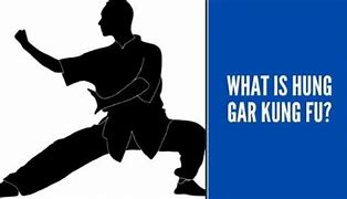 Image result for Hung Gar Kung Fu Styles