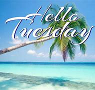 Image result for Tuesday Morning Beach