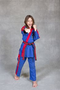 Image result for Martial Arts World! Lake Mary