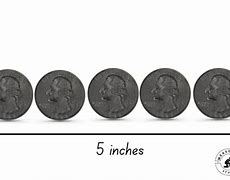 Image result for How Long Is 5 Inches Comparison