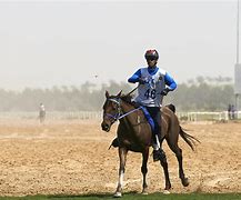 Image result for Endurance Horse Racing