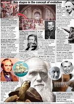 Image result for Timeline Evolution Infographic