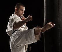 Image result for Male Karate Kick
