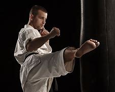 Image result for Karate Black Kick