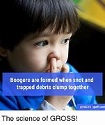 Image result for Snot Meme