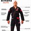 Image result for Top Ten Martial Arts Blue and White GI